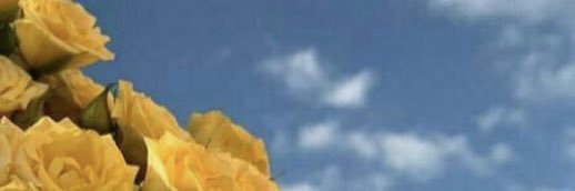 dsdskjy's profile banner image