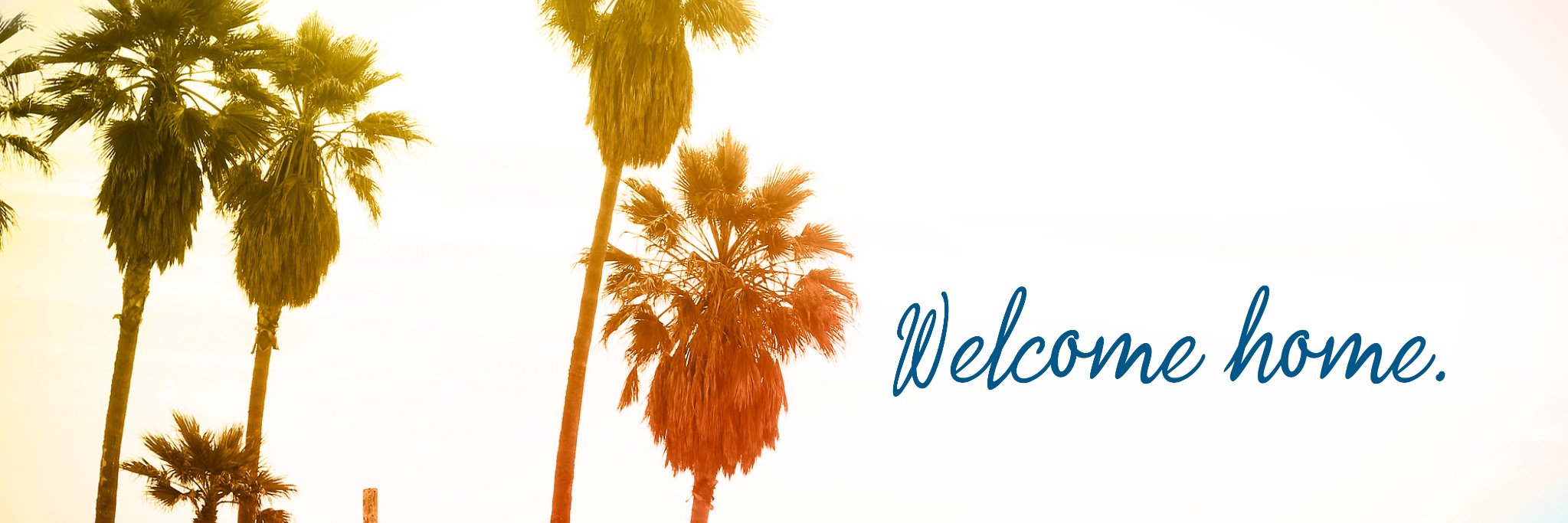 TikvatJacob's profile banner image