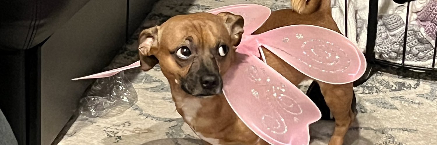 JayNasssty's profile banner image