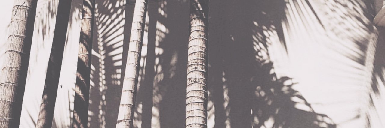 svetlanathorne's profile banner image