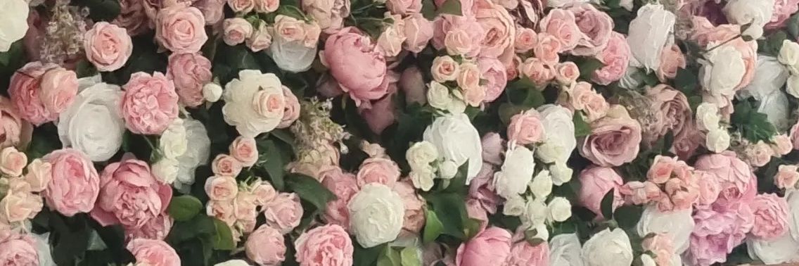 𝐻𝒶𝓃𝓃𝒶𝒽 𝐿𝑜𝓊𝒾𝓈𝑒🖤 banner