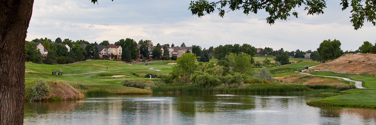 City of Lone Tree banner