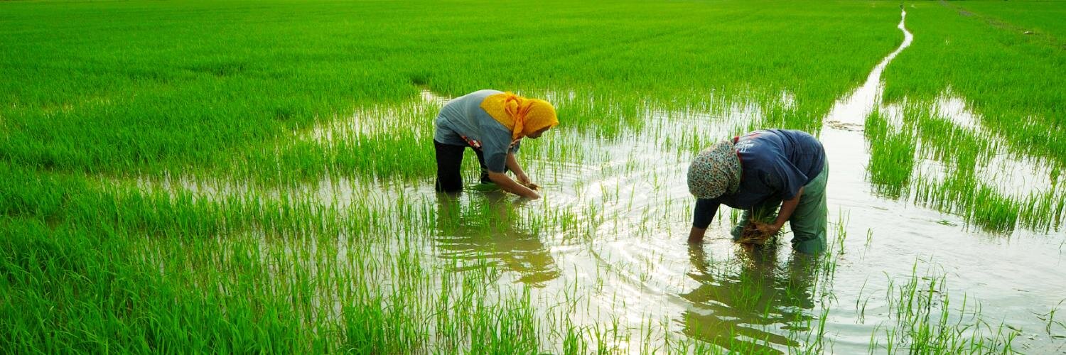 CropLife Asia banner