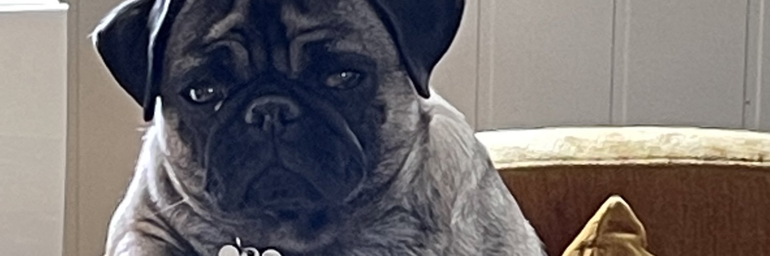 Katte_Bassa's profile banner image