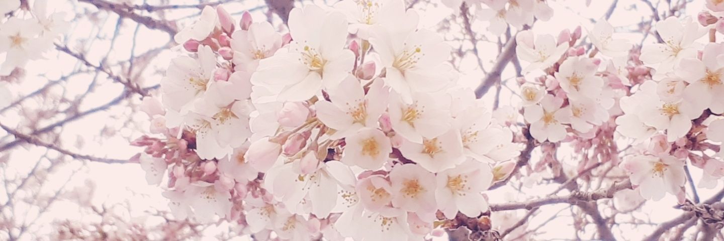 yui_27_'s profile banner image