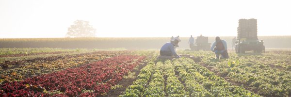 TheChefsGarden Profile Banner