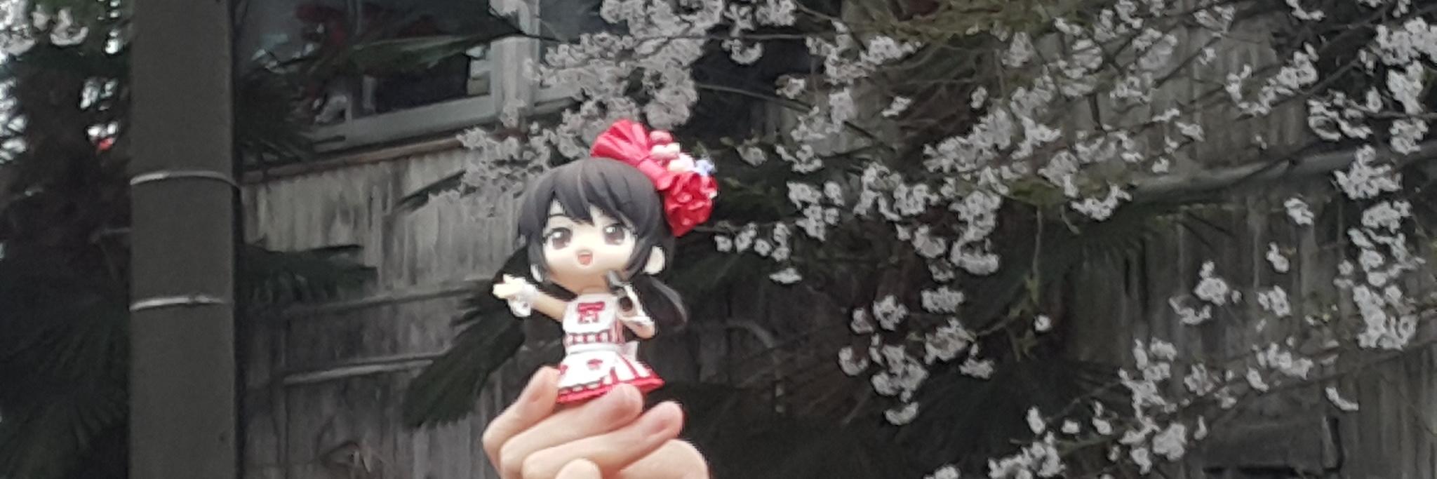 CeriseLing's profile banner image