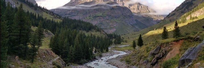 Farhan Farooq banner