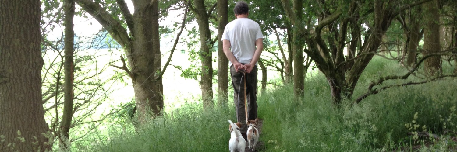 Albert Goudberg banner