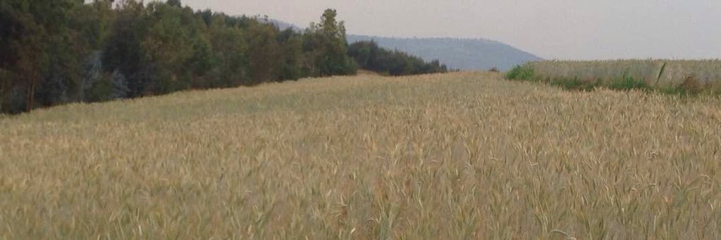 JLRugerintwari's profile banner image
