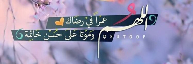 فاطمه المظفر banner