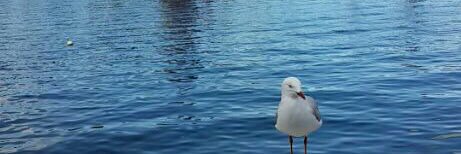 alaaal3beeke's profile banner image