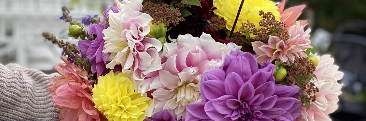 ebbasikberg's profile banner image