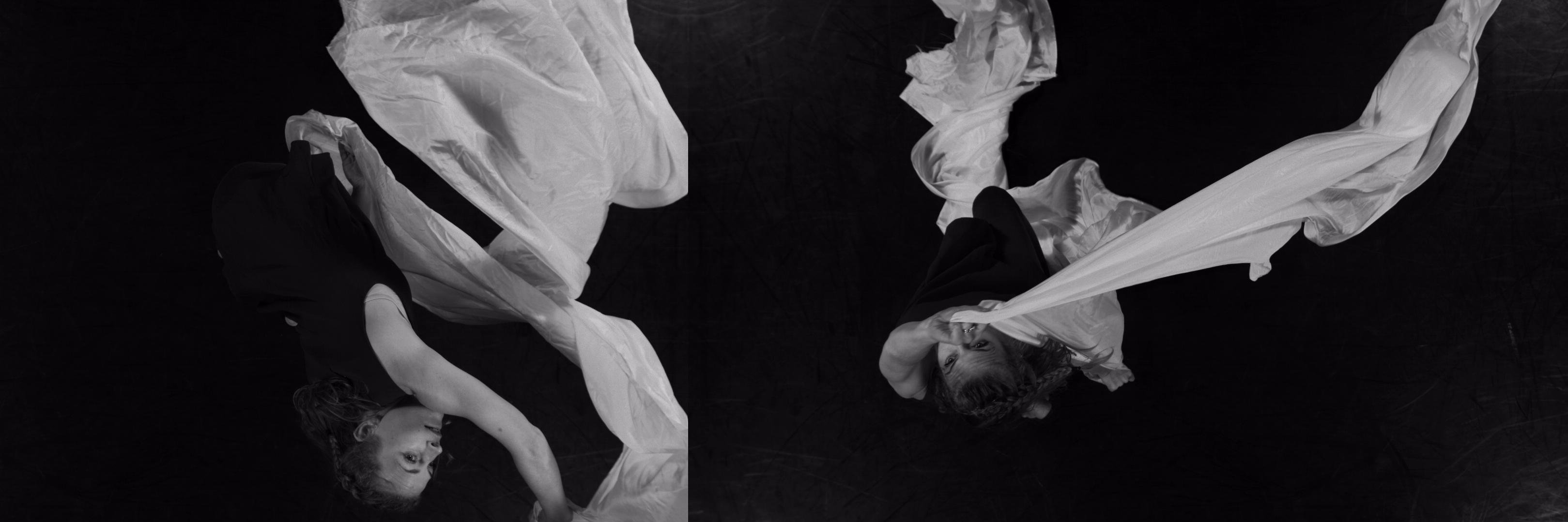 Rose🕷️Butler banner