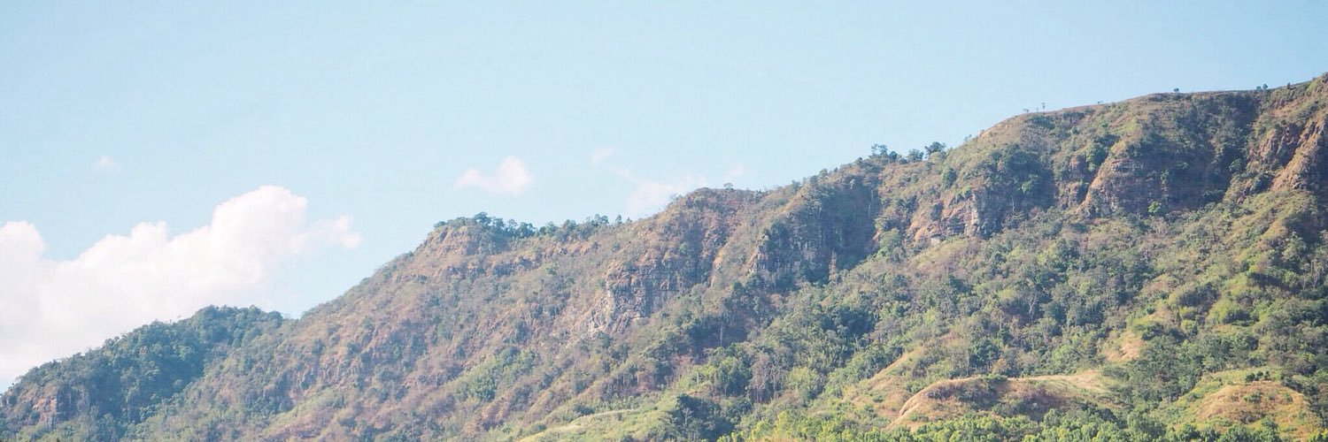 nnnchuti's profile banner image