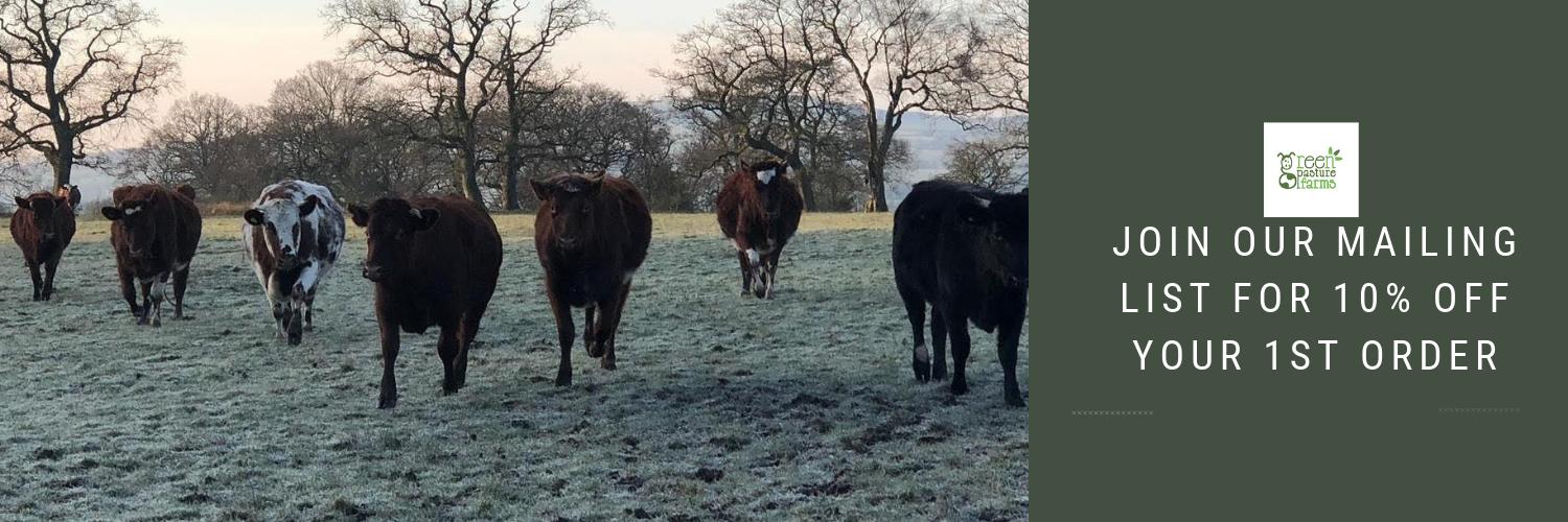 GrassFedBeefUK's profile banner image