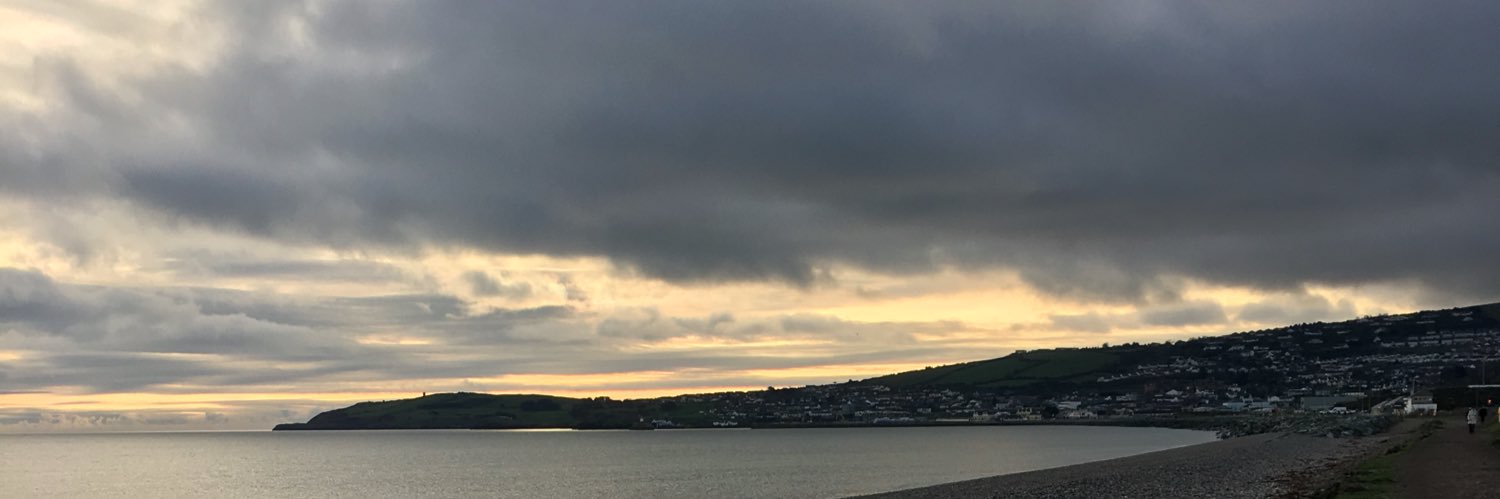 Dawn Leane banner