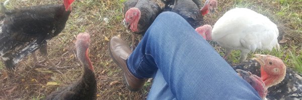 simbahd Profile Banner