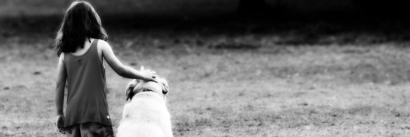 TusDedicatorias's profile banner image