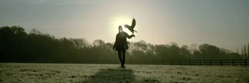 Rufus The Hawk banner