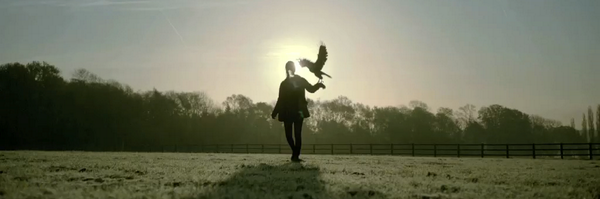 RufusTheHawk Profile Banner