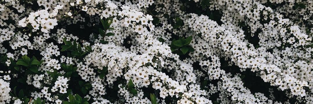 Heyjeee_'s profile banner image