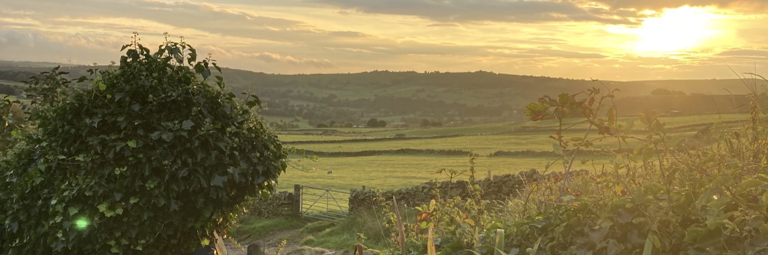 Rachel Feather banner