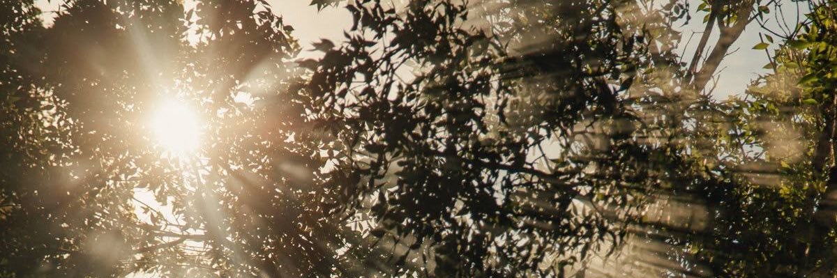 sbba369's profile banner image