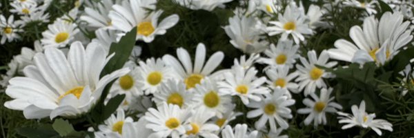 _gr8gd Profile Banner