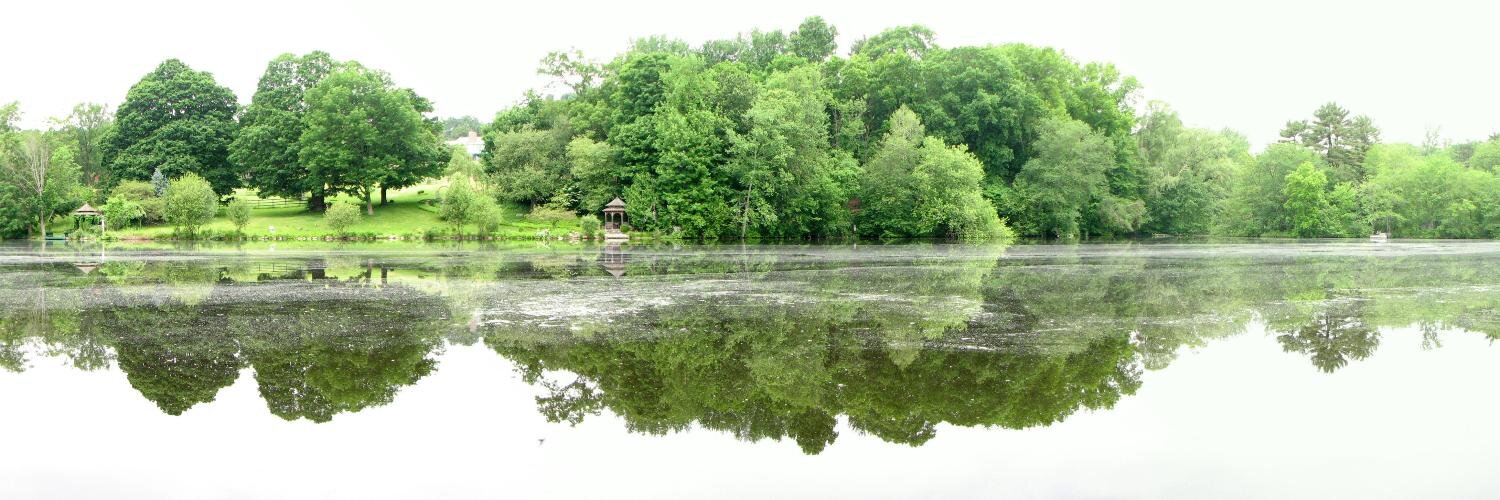 Trux, the American banner