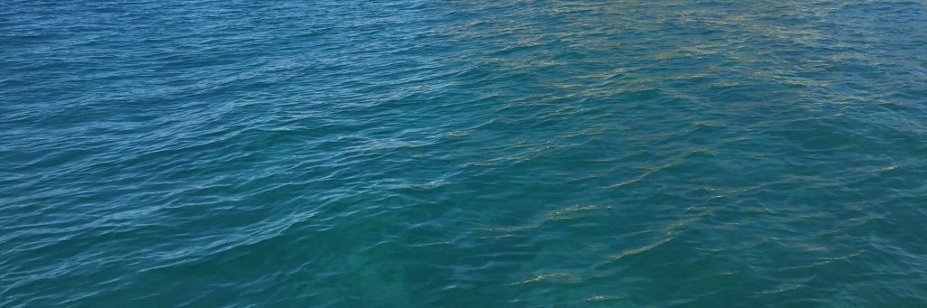 mzoccali's profile banner image