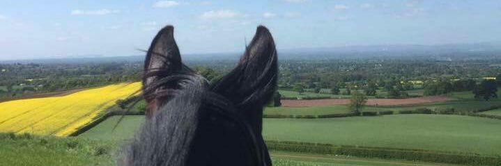 Jess_Jones91's profile banner image