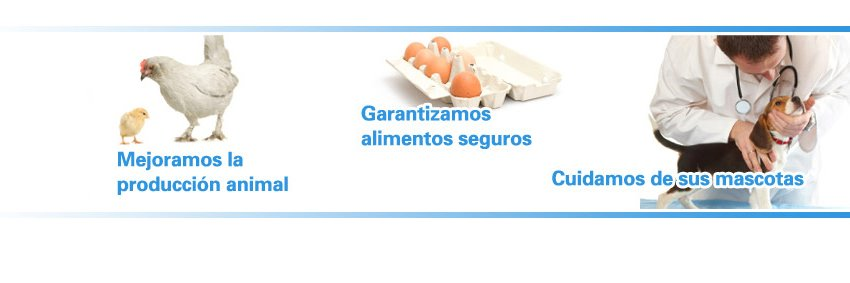 ColegioVet.Alicante banner