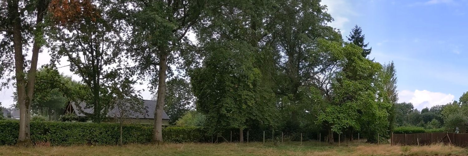 xfrogg's profile banner image
