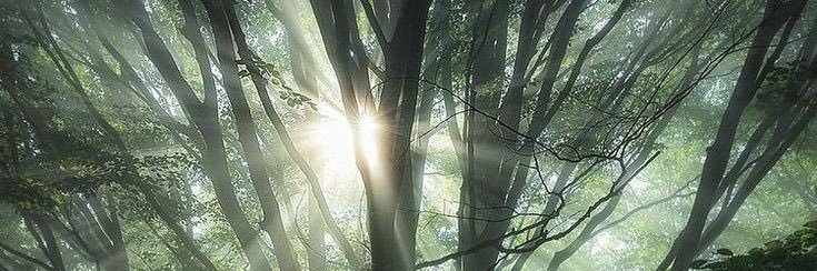 _GuardianAnge1's profile banner image