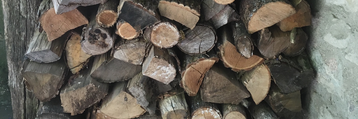 Gilles Le Roc'h banner