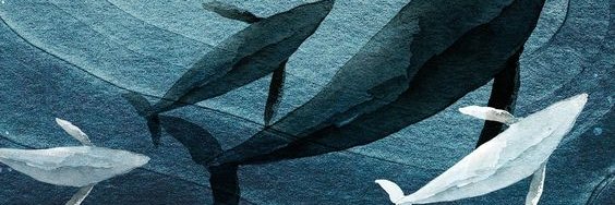 mavizeni's profile banner image