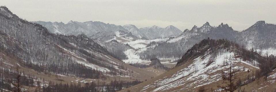 ♐ Ariukaa ♐ banner