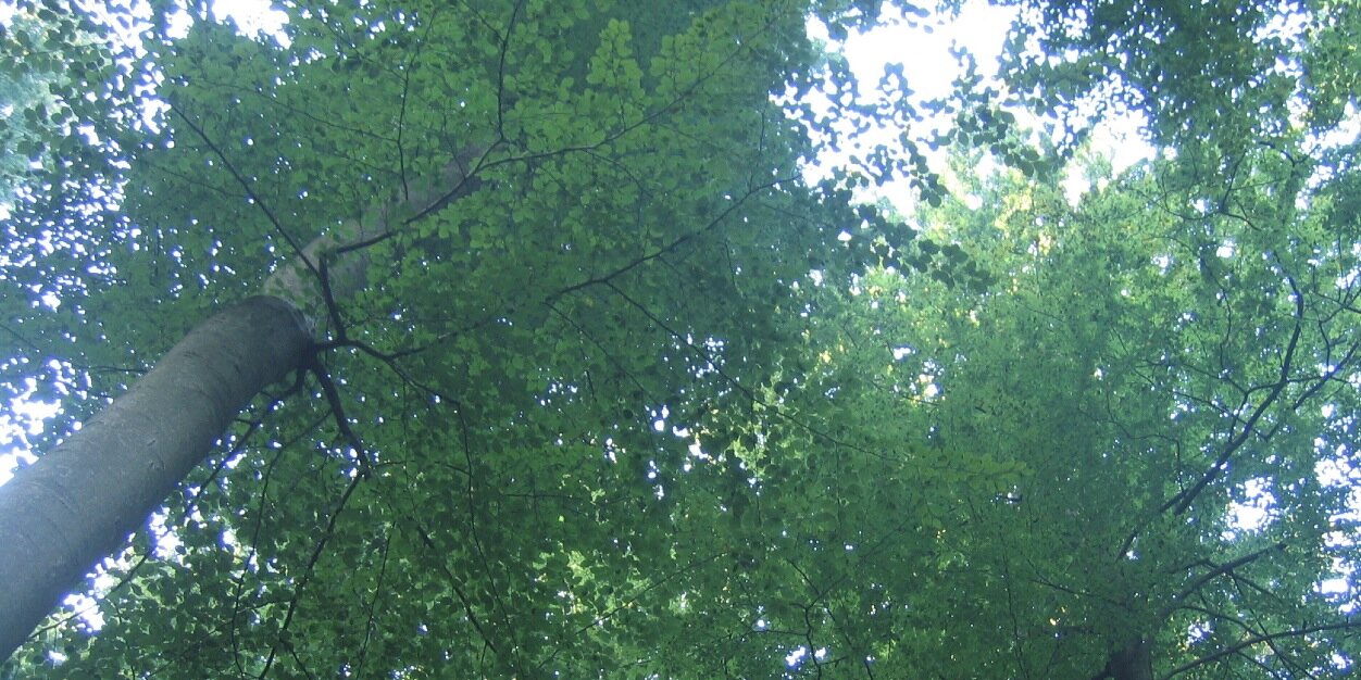 Ventat's profile banner image