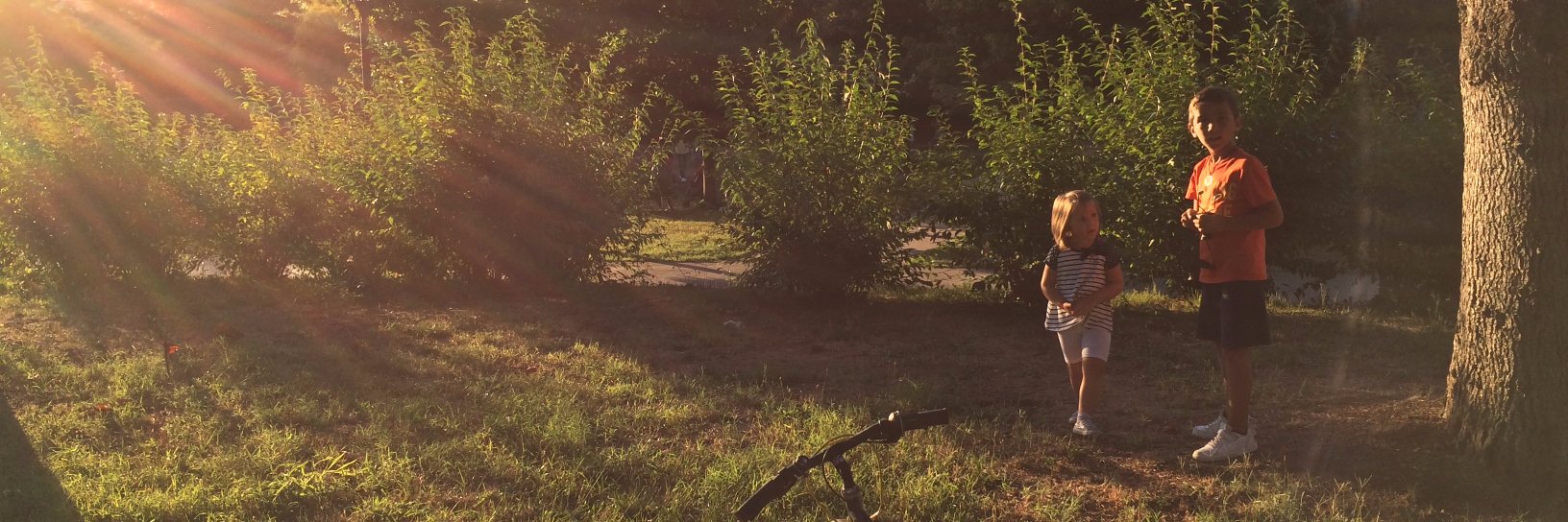 Elia (͡° ͜ʖ ͡°) • hyper-reality denier banner