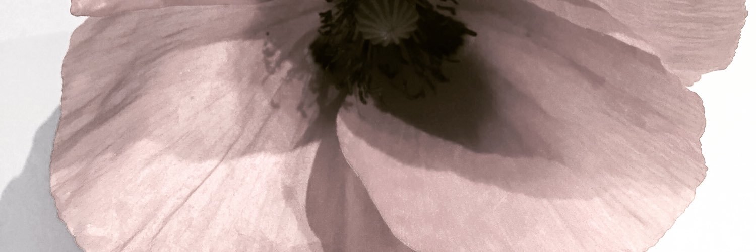 teresacomas's profile banner image