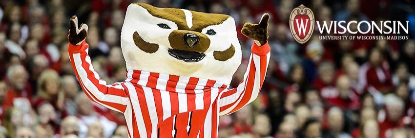 bigapplebadgers's profile banner image