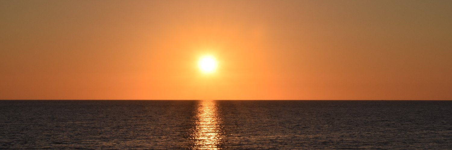 ferpet961's profile banner image