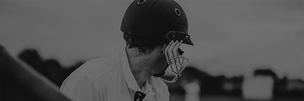 Duck & Run Cricket banner