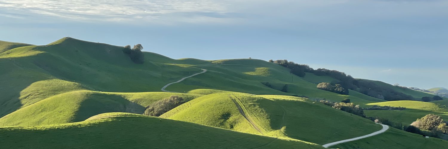 Jeff Spitulnik banner