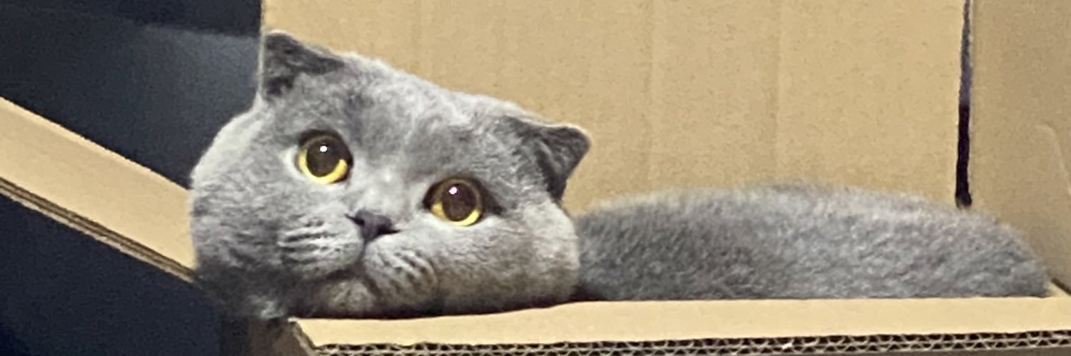 bugradaskin's profile banner image