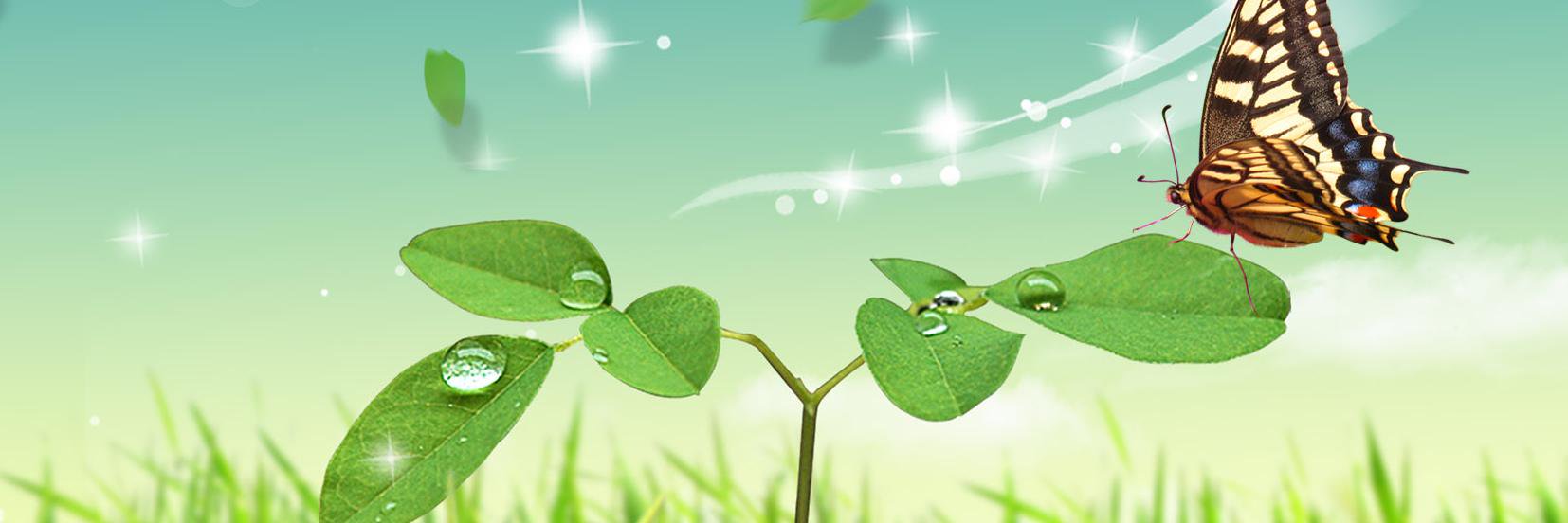 loverboybhara's profile banner image