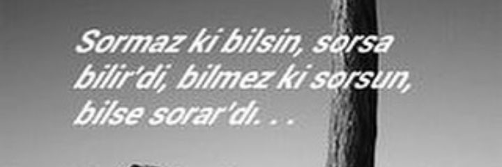 gulnisaa's profile banner image