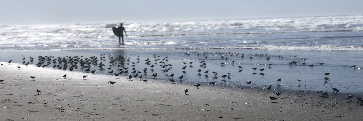 Corine Lesnes banner