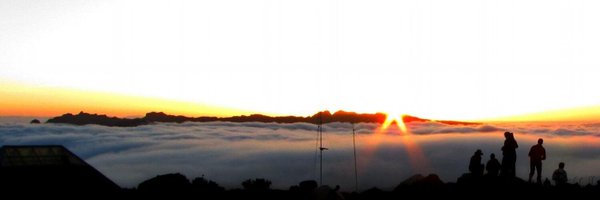 FranzNespoli Profile Banner